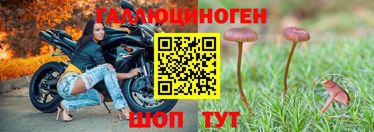 Псилоцибиновые грибы MAGIC MUSHROOMS Звенигород