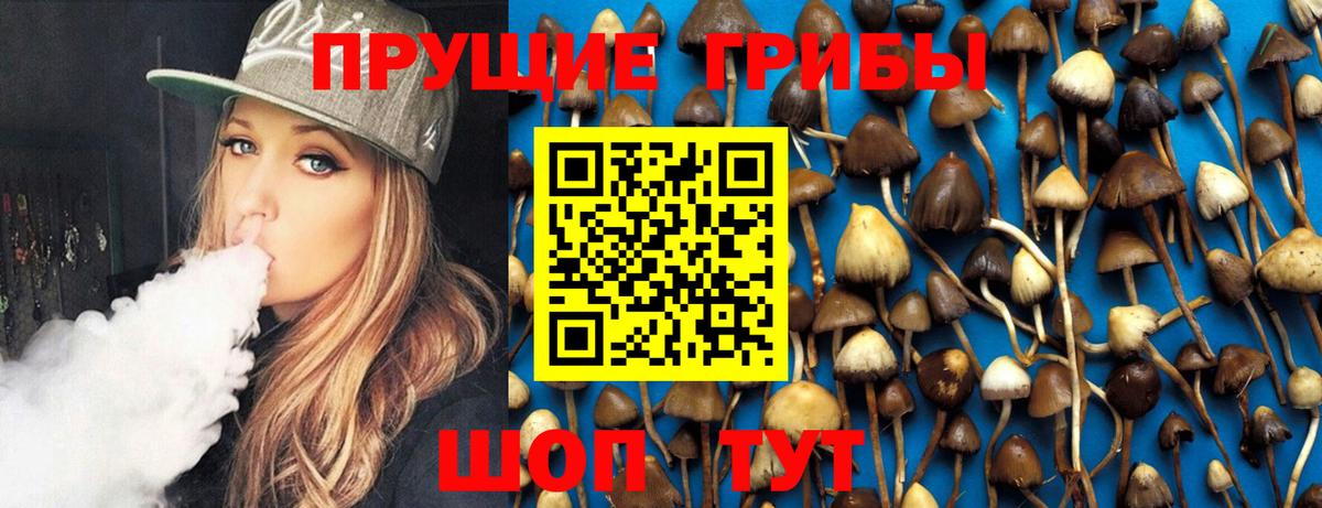 Звенигород  Псилоцибиновые грибы ЛСД  Вход с VPN 